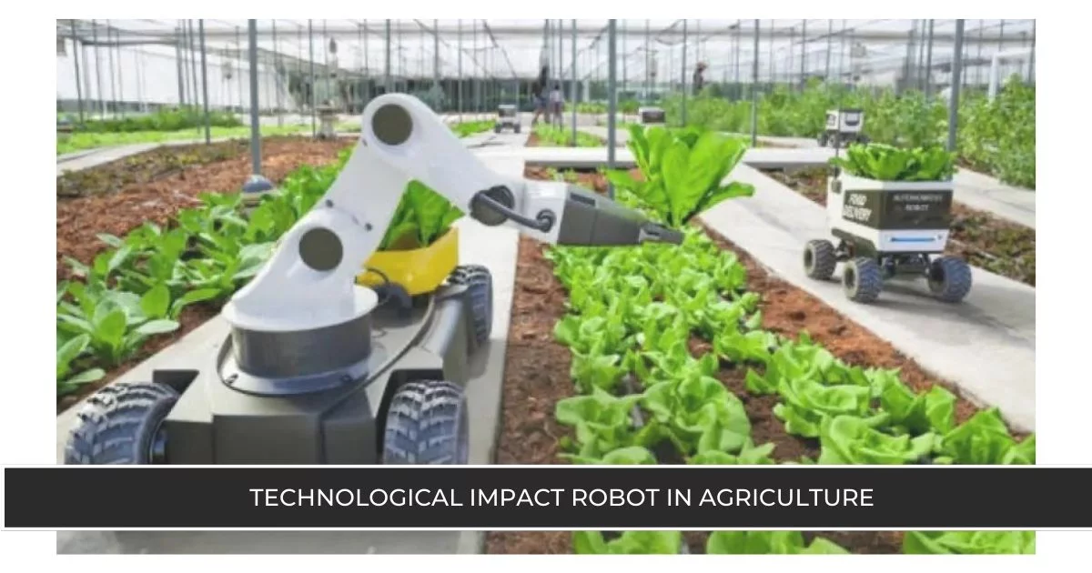Technological Impact Robot in Agriculture